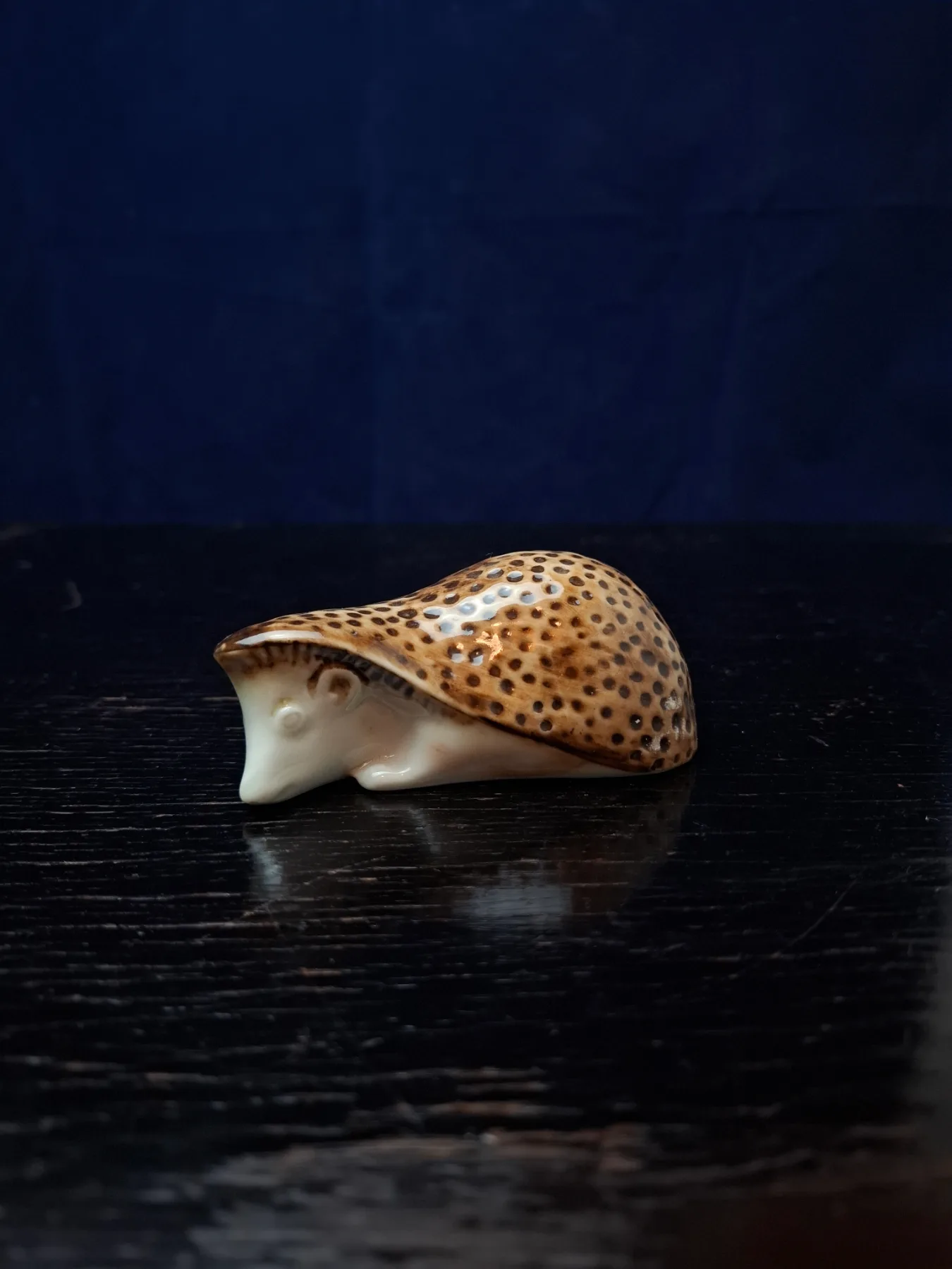 Ježek porcelánový